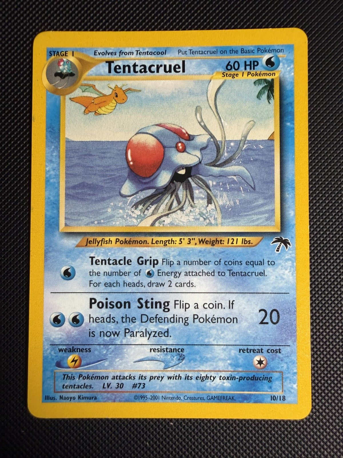 Tentacruel 10/18 Southern Islands Promo WOTC Pokemon TCG Card - NM
