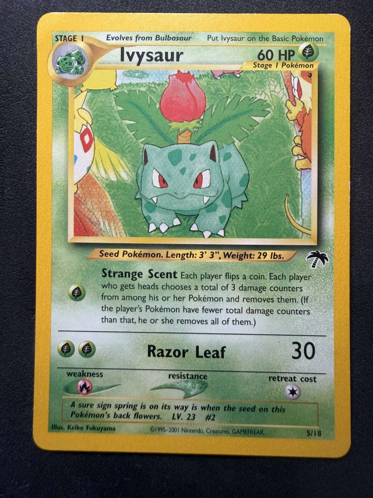 Ivysaur 5/18 Southern Islands Pokemon TCG - WoTC Promo - LP