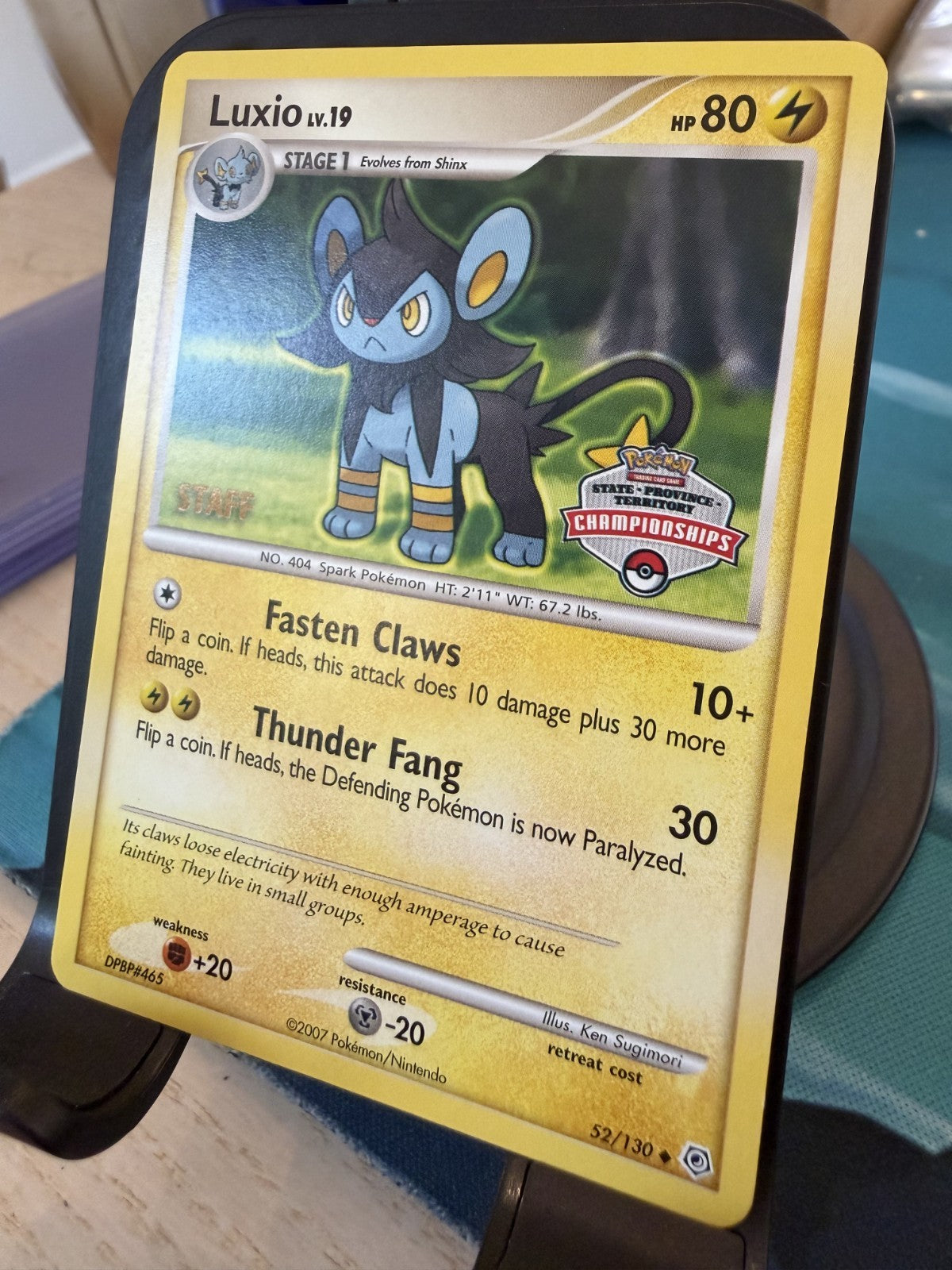 Luxio [Pre-Release Staff] #52 Pokemon Diamond & Pearl - NM
