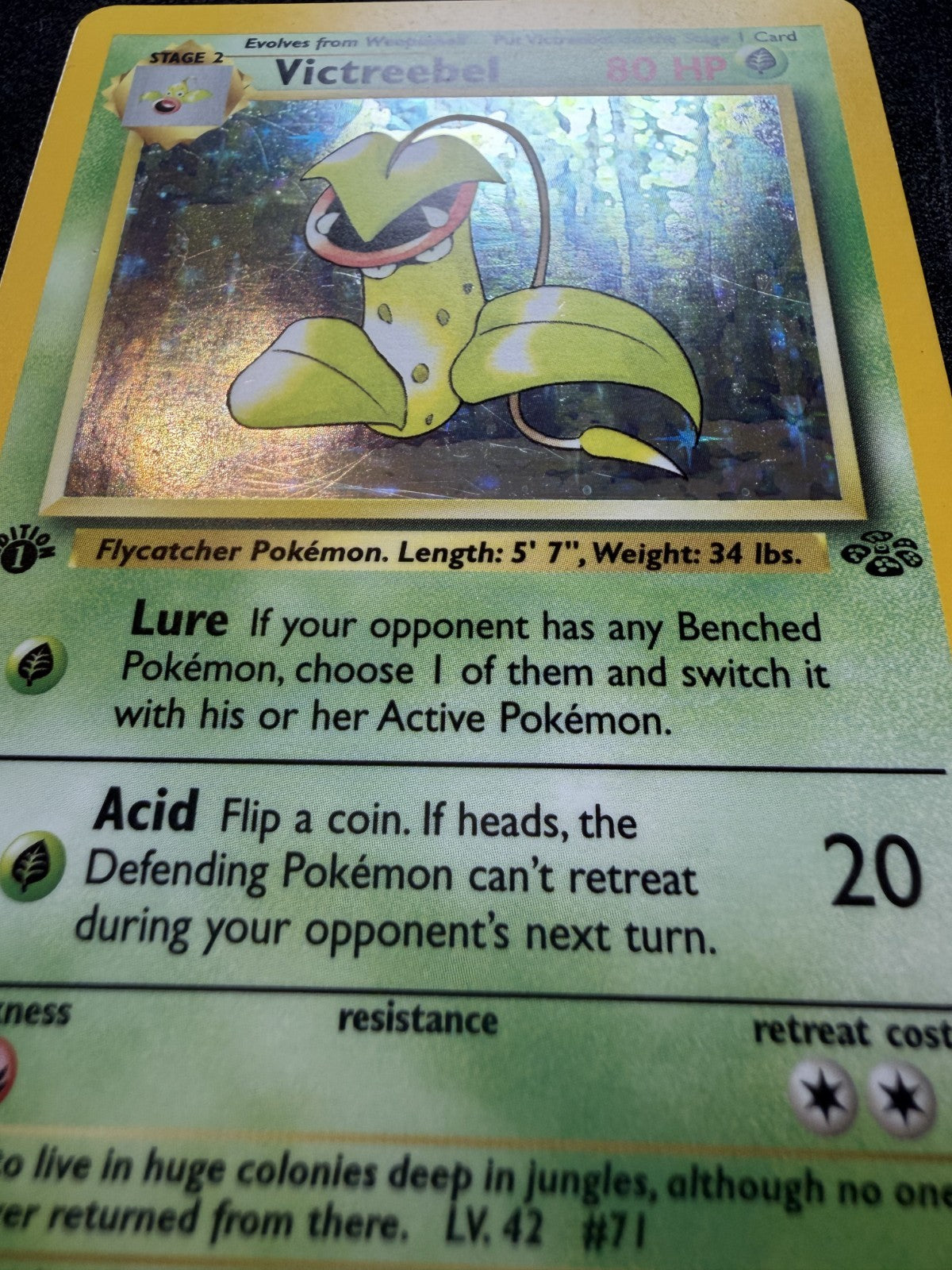 Pokemon TCG - Victreebel 14/64 1st Edition Holo Jungle Set WOTC - LP