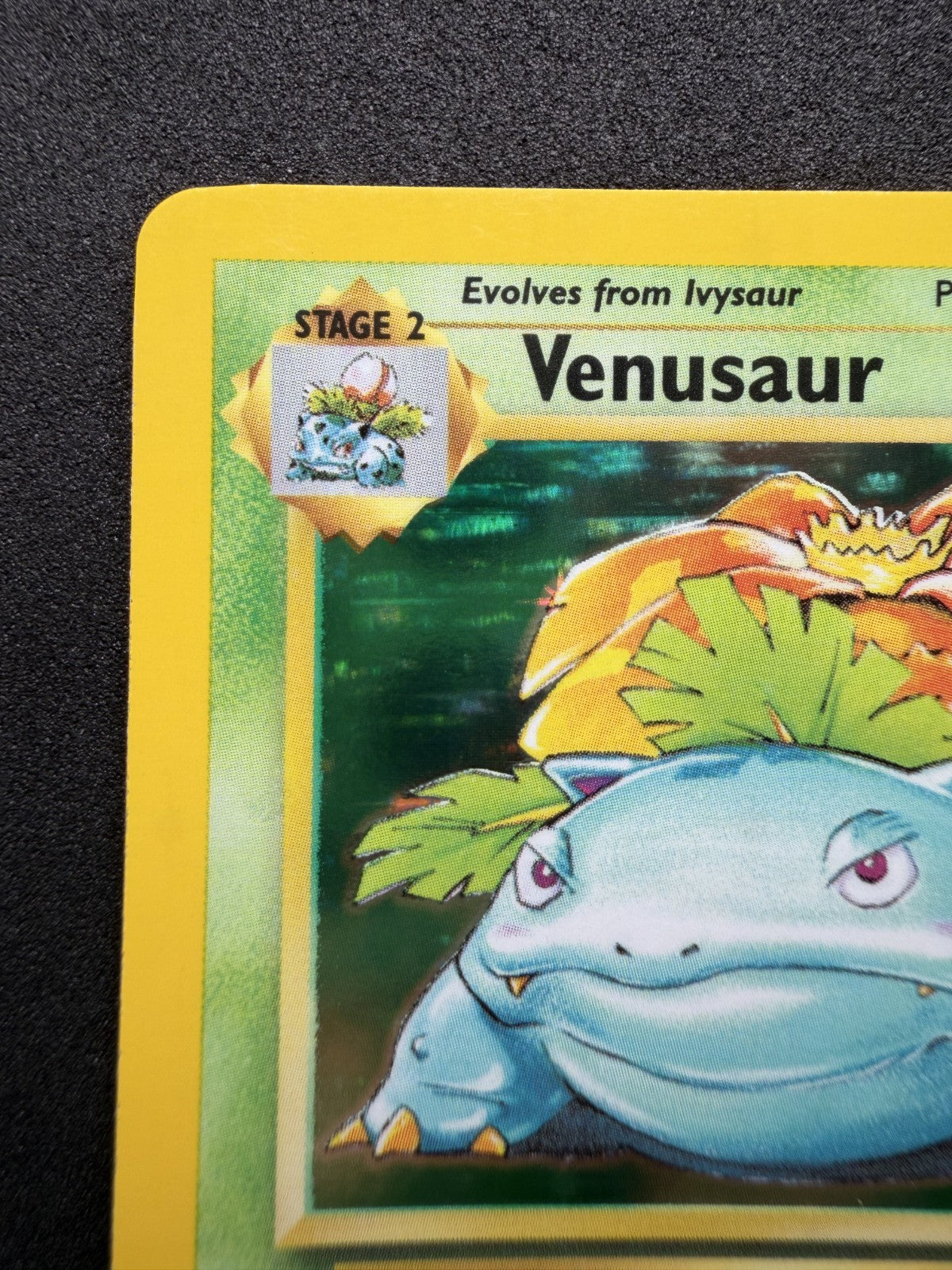 Pokemon Venusaur Holo Rare Base Set Unlimited 15/102 WOTC 1999 - LP