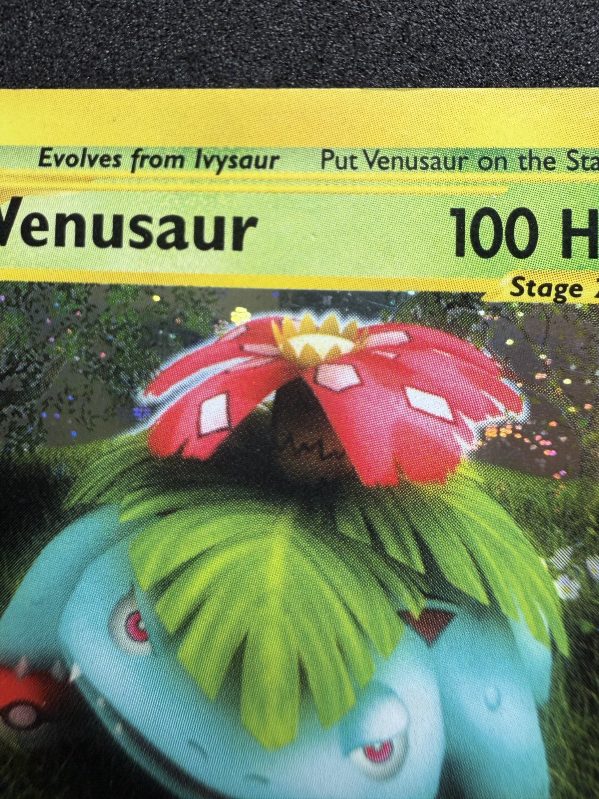 Pokémon Venusaur 30/165 Expedition Holo - & Swirl - MP