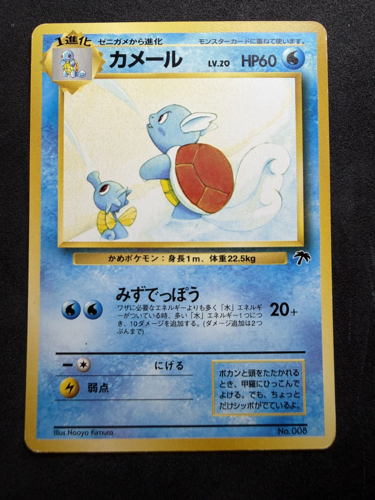 Japanese Pokémon Southern Islands Jungle Pokemon Wartortle #8 Rare - LP