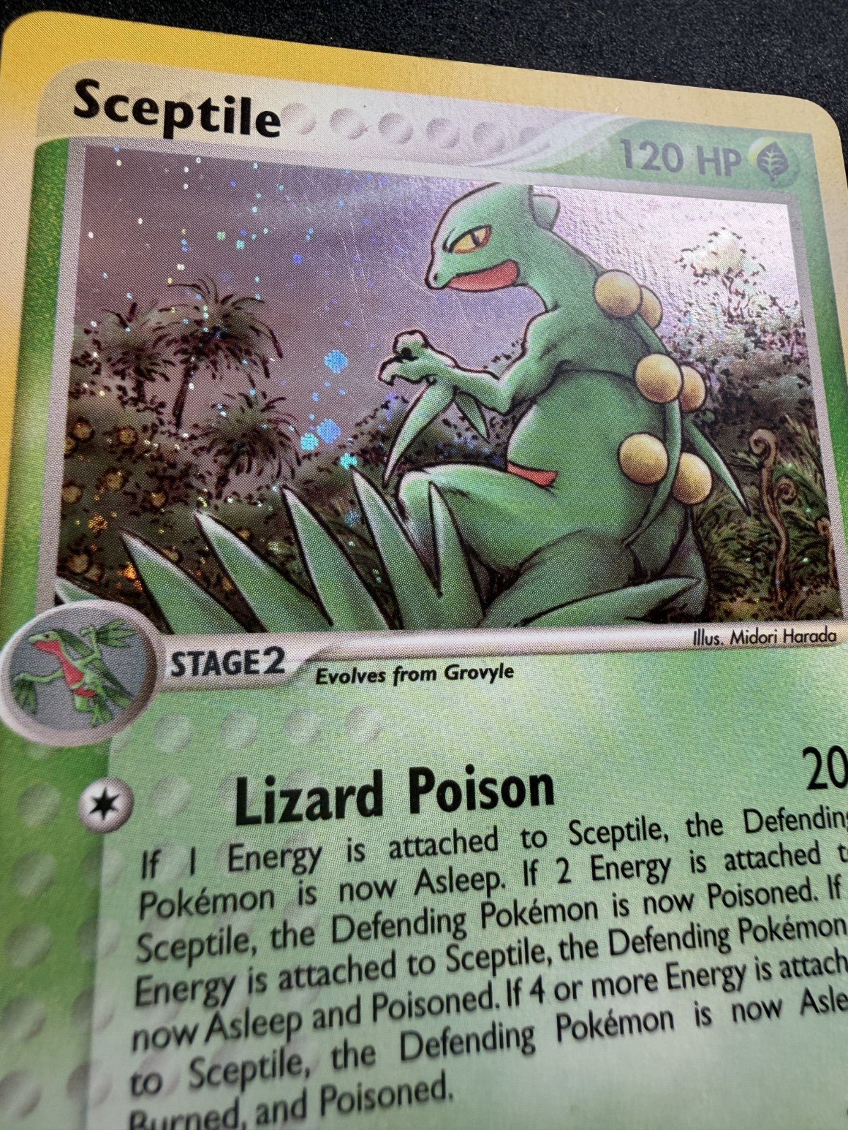 Pokemon TCG Sceptile Holo Ruby & Sapphire 11/109 - NM