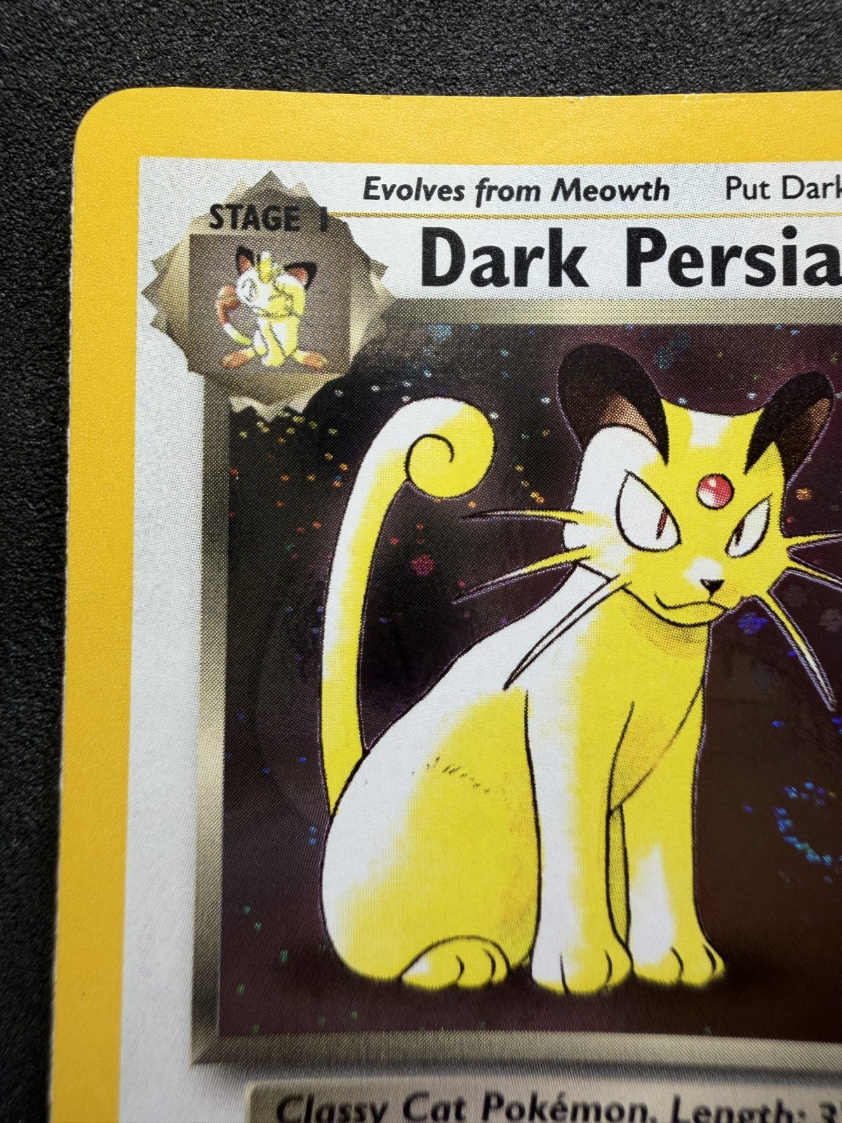 Pokémon TCG - Dark Persian - Black Star Promo #17 - & SWIRL 🌀 - NM