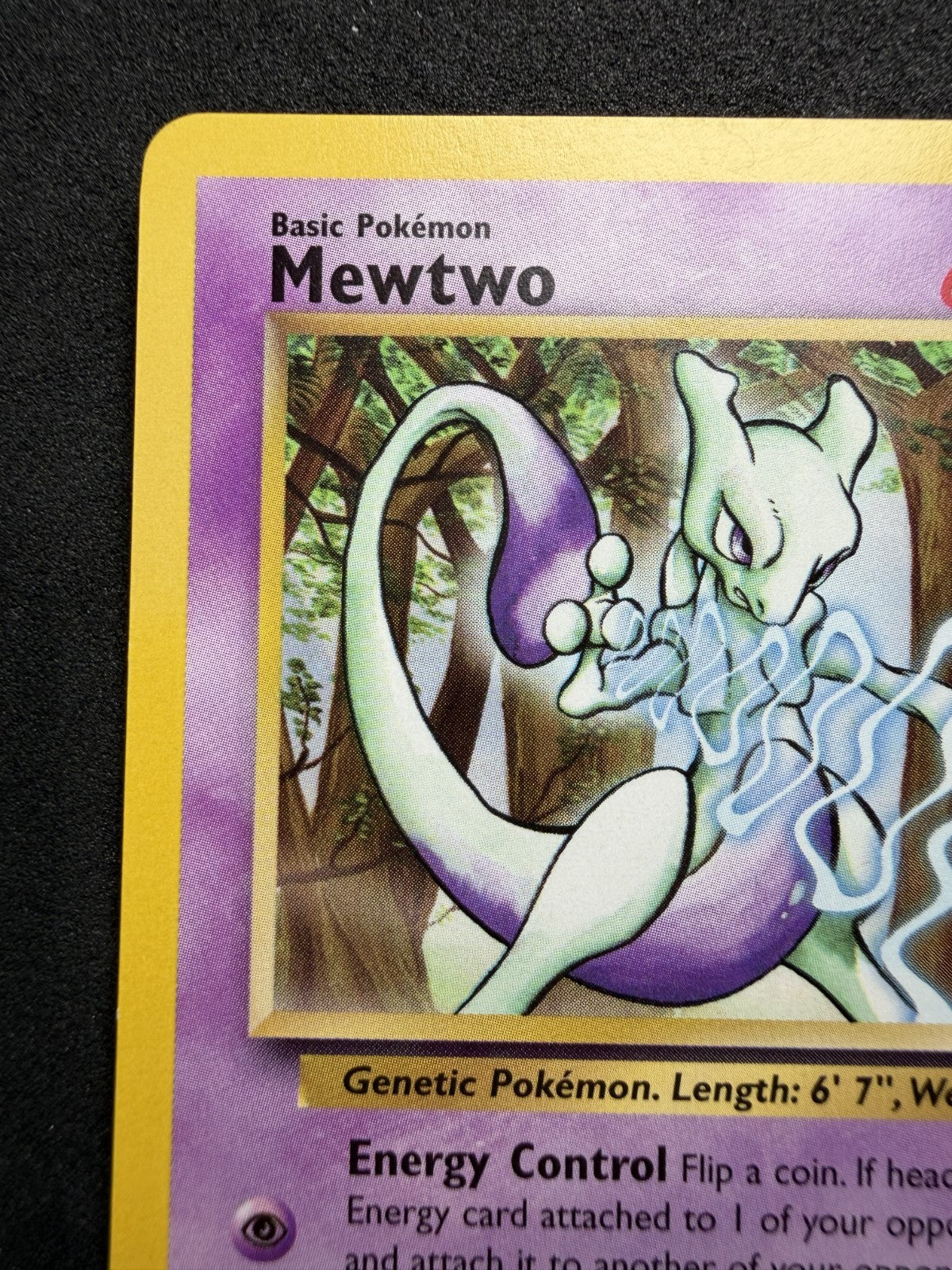 Mewtwo #12 Rare Black Star Promo WoTc Pokemon Card - NM