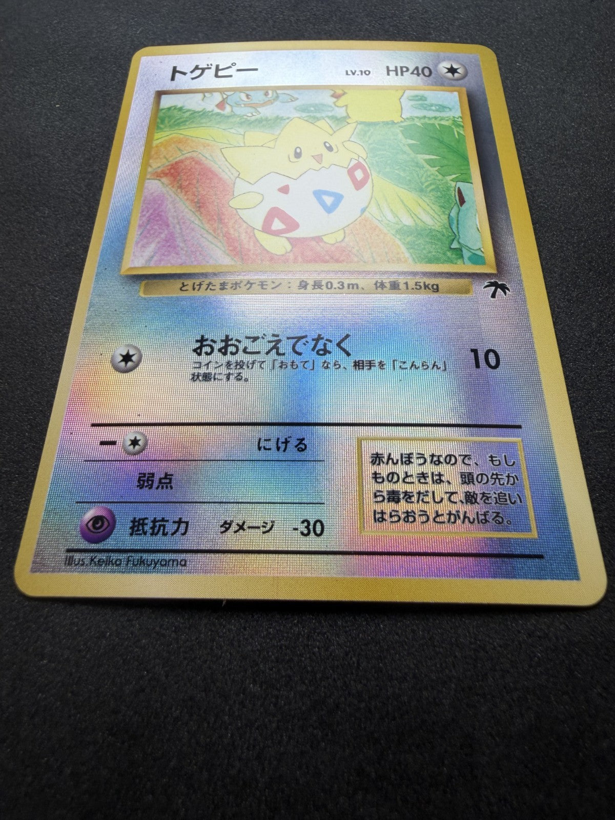 Pokemon TCG: Togepi Holo Southern Islands Promo 1999 Japanese - NM