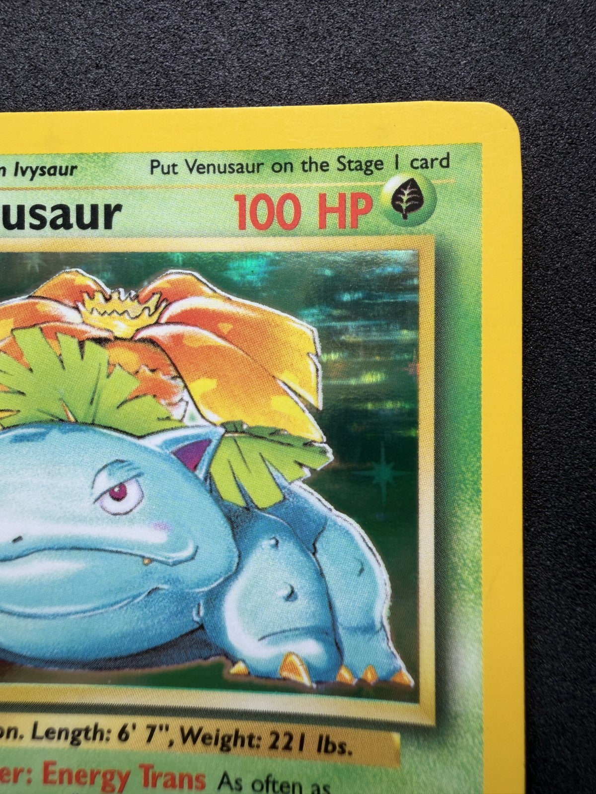 Pokemon Venusaur Holo Rare Base Set Unlimited 15/102 WOTC 1999 - LP